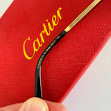 Cartier CT0297S dp