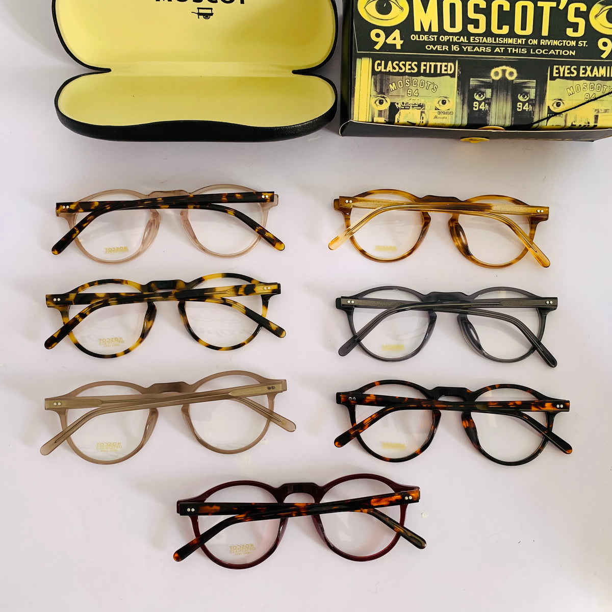 Moscot Tuchus opt