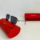 Cartier CT0828S prc
