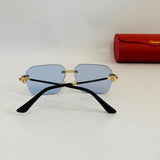 Cartier CT0828S prc