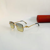 Cartier CT0342 S prc