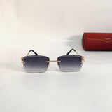 Cartier CT0342 S prc