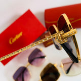 Cartier CT1175S fm