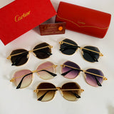 Cartier CT1173S fm