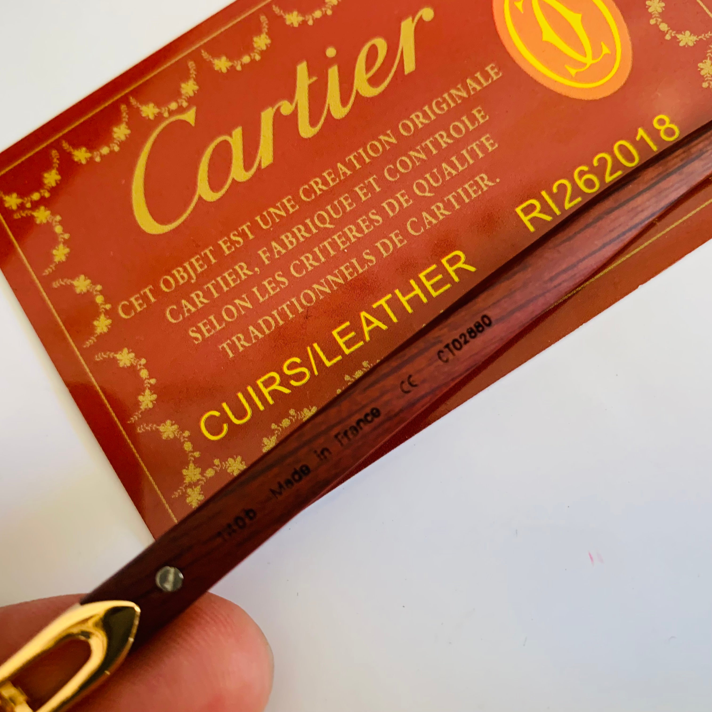 Cartier CT02880 s-prc BOIS