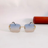 Cartier CT0007RS S