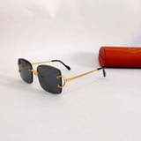 Cartier CT0007RS S