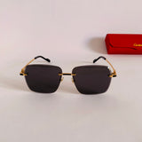 Cartier CT0336S prc