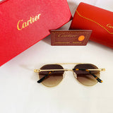 Cartier CT06290 S Av dp