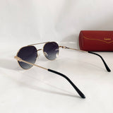 Cartier CT06290 S Av dp