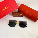 Cartier CT0296S