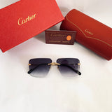Cartier CT0296S