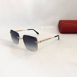 Cartier CT03491 S prc