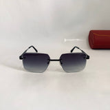 Cartier CT03491 S prc