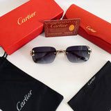 Cartier CT2452234S