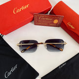 Cartier CT2452234S