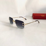 Cartier CT2452234S