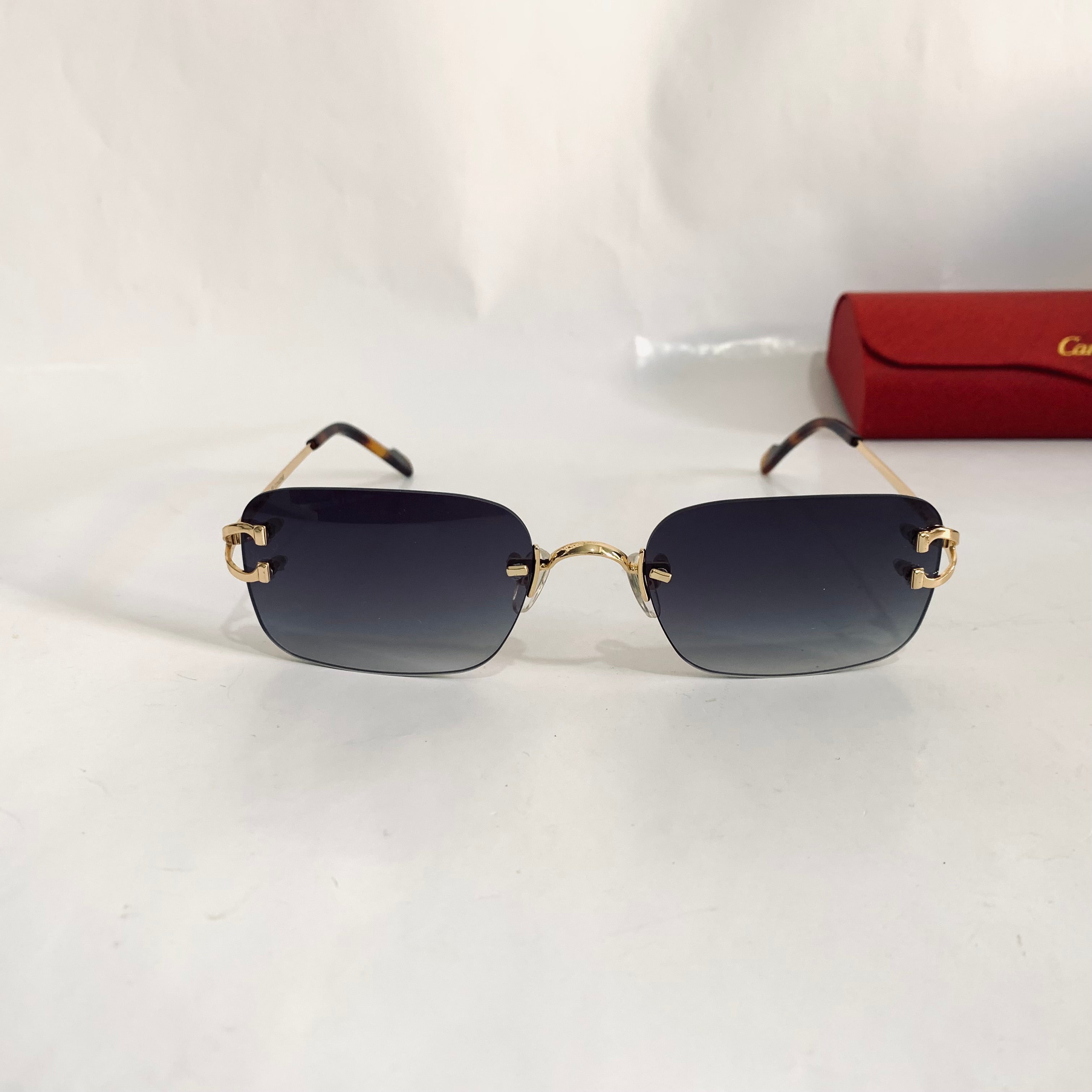 Cartier CT2452234S