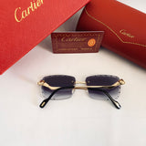 Cartier CT0343 S prc