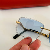Cartier CT0343 S prc
