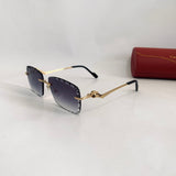 Cartier CT0343 S prc