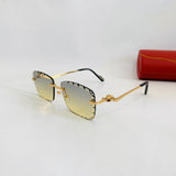 Cartier CT0343 S prc