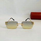 Cartier CT0343 S prc
