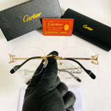 Cartier CT04160 prc opt