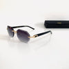 Cartier CT0439S Hexa S