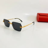 Cartier CT0542S