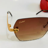 Cartier CT0542S