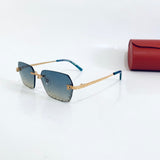Cartier CT0542S