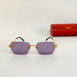 Cartier CT0542S