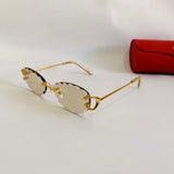 Cartier CT0599S Photochromique