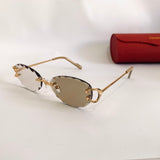 Cartier CT0599S Photochromique