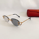 Cartier CT0599S Photochromique