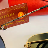 Cartier CT0333S
