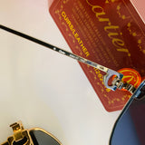 Cartier CT0333S