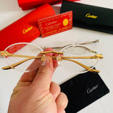 Cartier CT0504S
