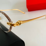Cartier CT0504S