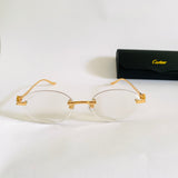 Cartier CT0504S