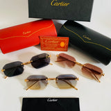 Cartier CT0739S