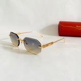 Cartier CT0739S
