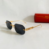 Cartier CT0739S