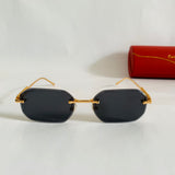 Cartier CT0739S