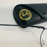 Ray-Ban RY1031 clips 2en1