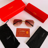 Cartier CT0526S Av prc