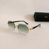 Cartier CT0439 S