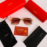 Cartier CT0526S Av prc