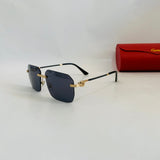 Cartier CT0828S prc